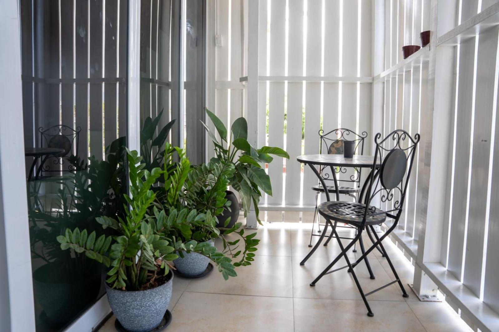Ivs Bed And Breakfast Kingston Luaran gambar